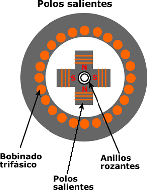 tipos de rotor de un motor sincrono